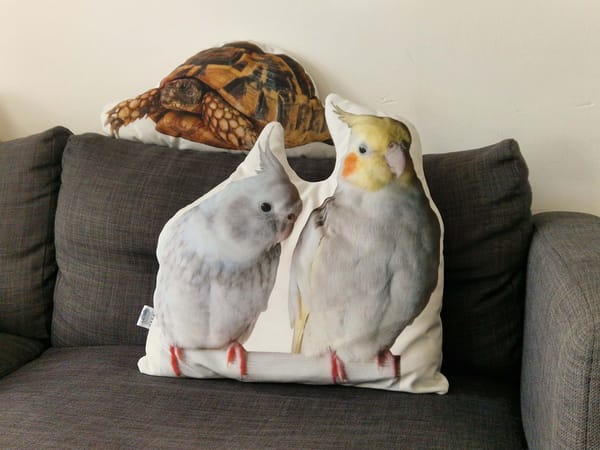 Foto van Inne H