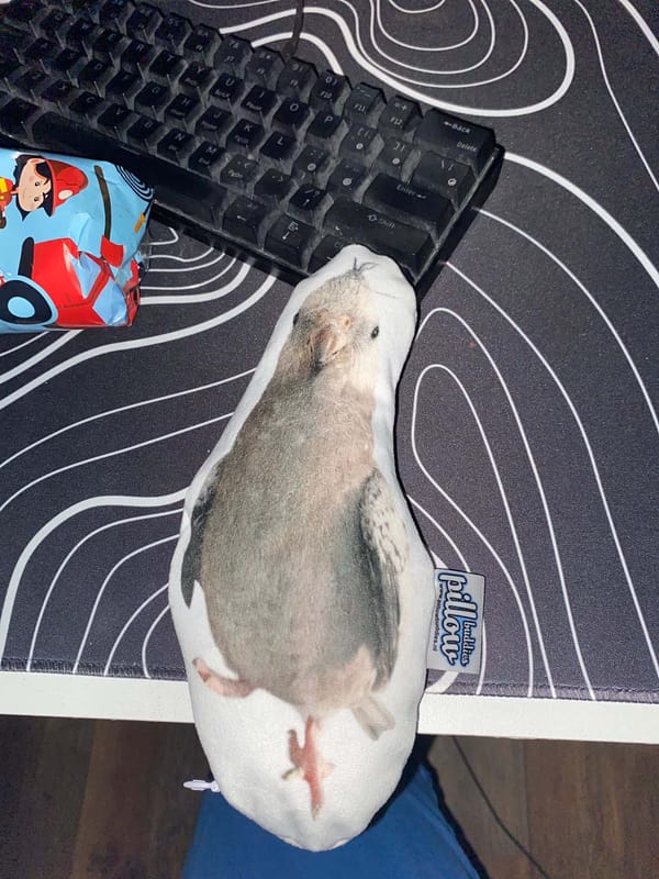 Foto van Sam Hoogakker