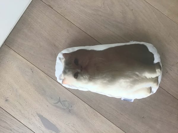 Klantfoto bij Pillowbuddies