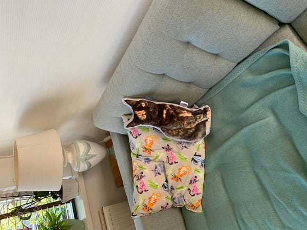 Klantfoto bij Pillowbuddies