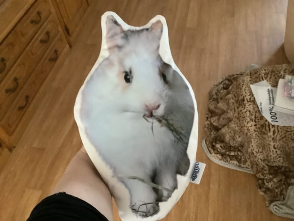Foto van Angelique V