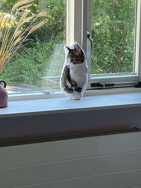 Foto van Bente De wilde 