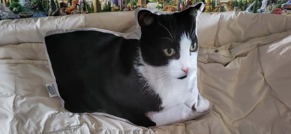 Klantfoto bij Pillowbuddies