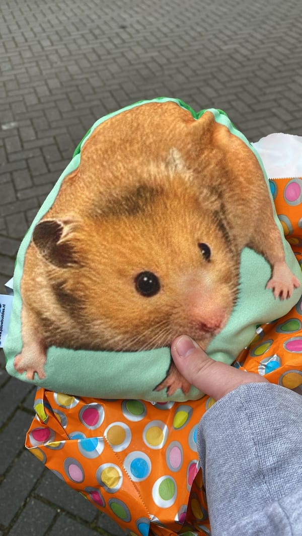 Klantfoto bij Pillowbuddies