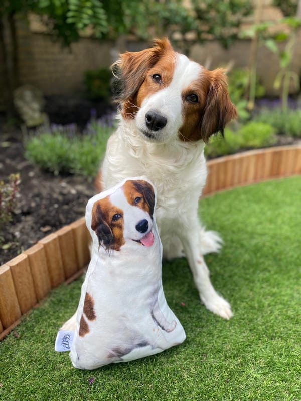 Klantfoto bij Pillowbuddies
