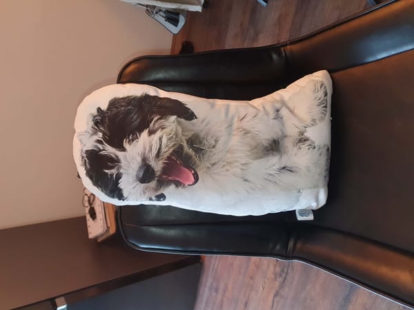 Foto van Nellie Q